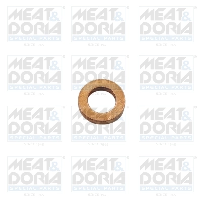 Seal Ring, injector